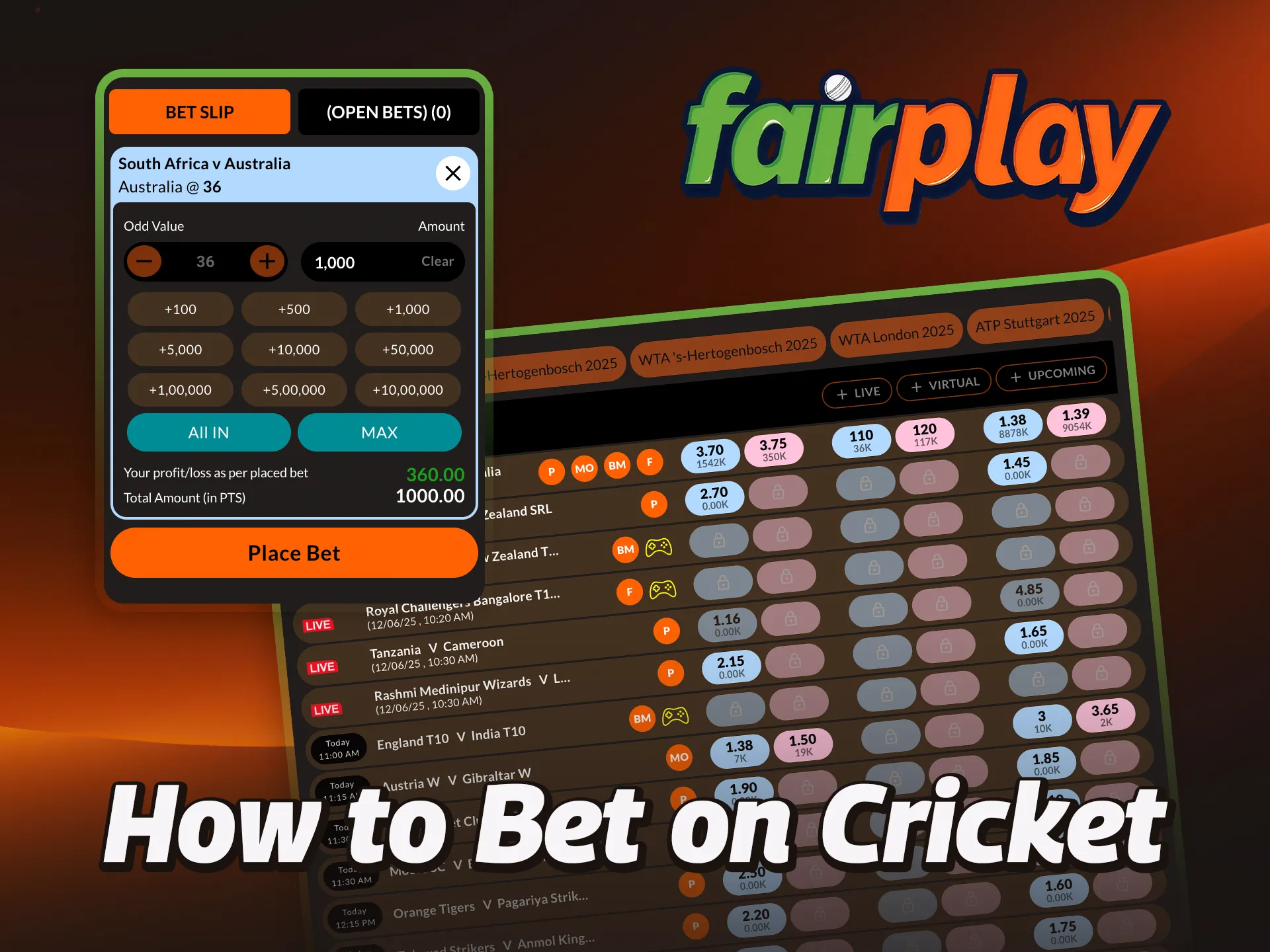 Bet on cricket quickly and easily with FairPlay.